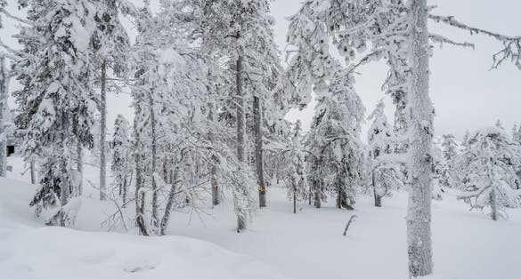Winter landscapes in Lapland near Sirkka, Finland