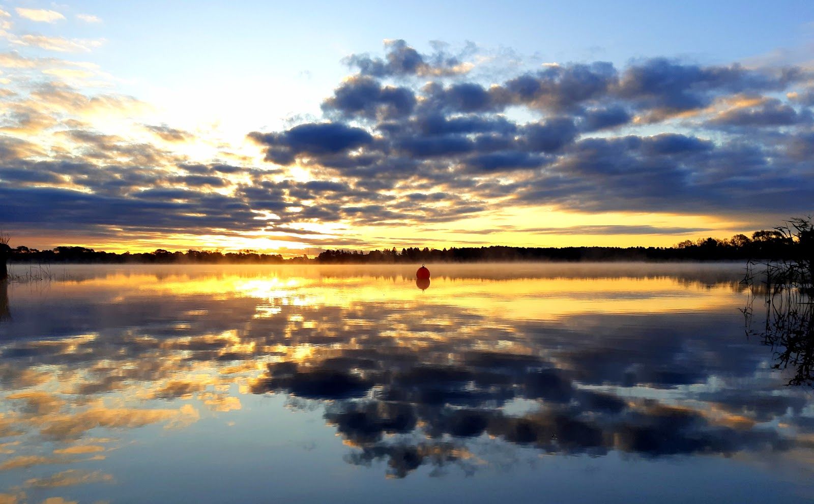 Haraldsted Sø "Blå Flag Strand", Ringsted Municipality, Region Zealand, Denmark