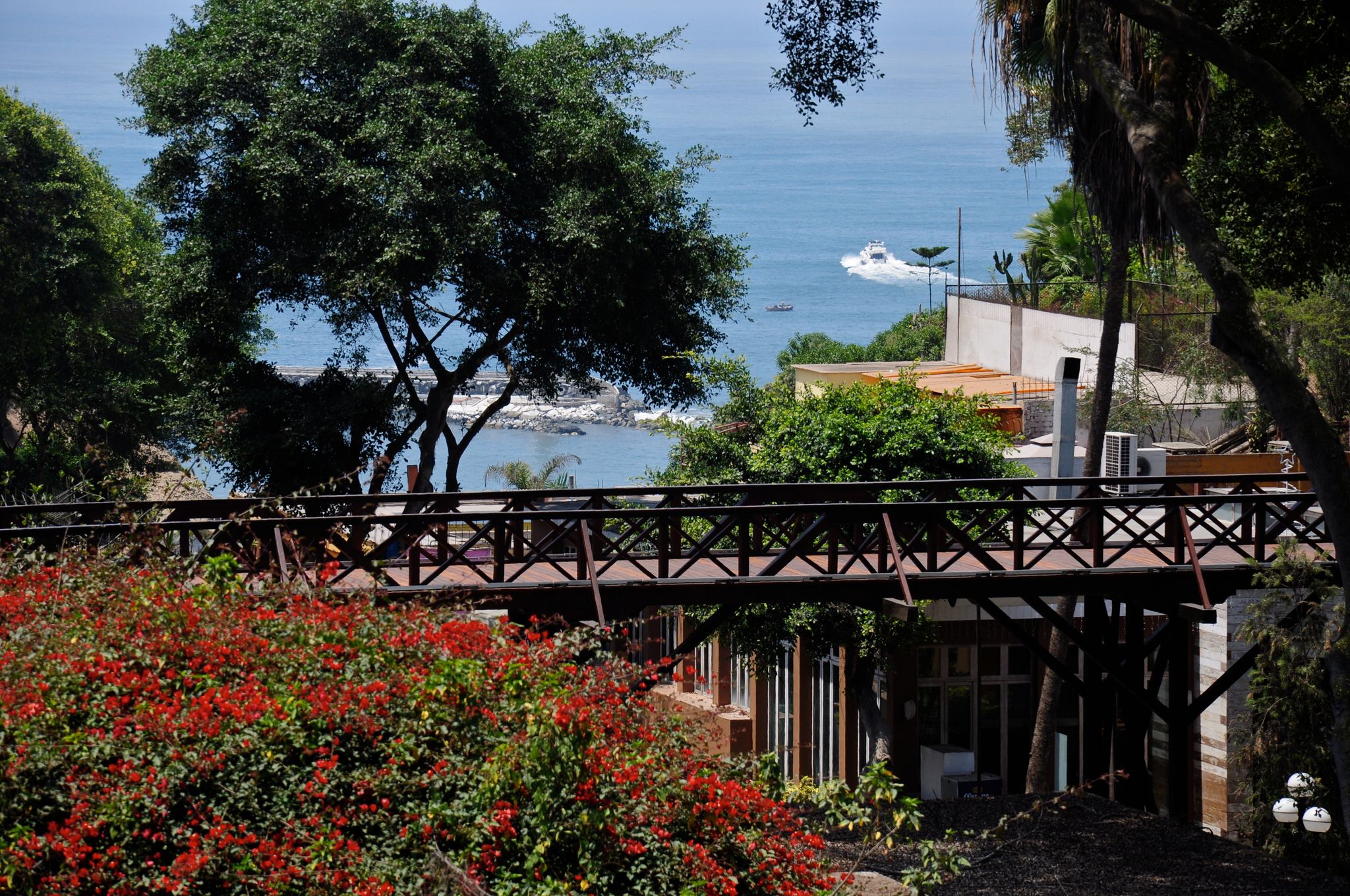 photo of Harmonious view of nature and the bridge of the sighs of Barranco in Lima-PERU .