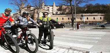 EBike tour with organic wine tasting
