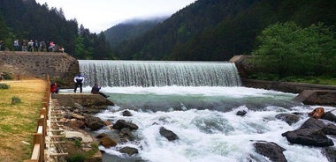 Uzungol Tour: Full-Day Nature Adventure with Tea Factory Visit