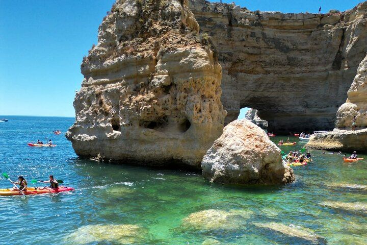 Kayak Experience with a Local