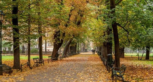 Autumn leaves falling in The Planty - a park in Krakow, Poland.