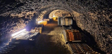 Half Day Tokaj Wine Tasting Tour in Mád Hungary with lunch