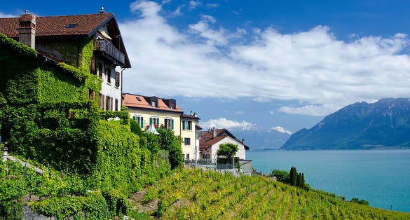 Photo of view of Lake Geneva from Vevey with vineyard in the foreground and mountains in the background, Switzerland.