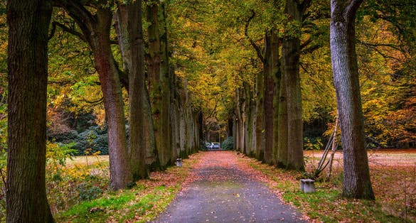 Autumn philips the park jongh Eindhoven