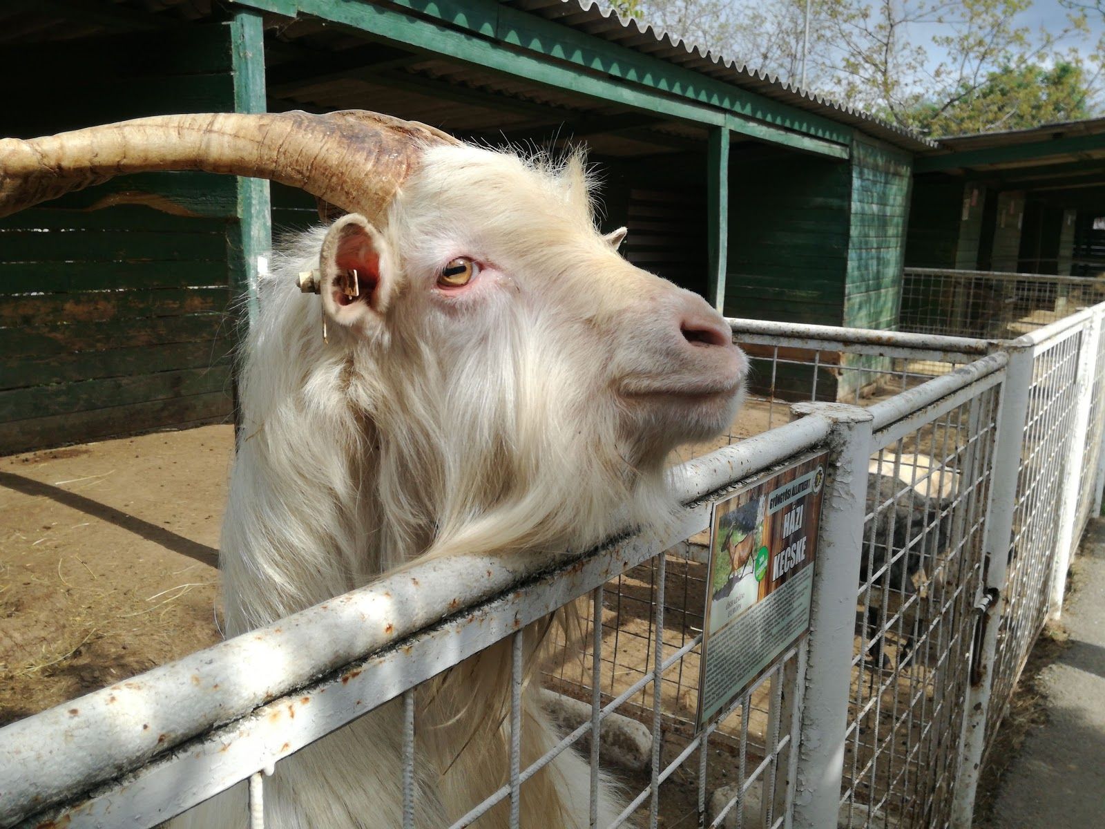 Gyöngyösi Zoo Catering and Leisure Park Ltd., Gyöngyös, Gyöngyösi járás, Heves, Northern Hungary, Great Plain and North, Hungary