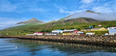 8 Days Self-drive | Around Iceland Ring Road Tour