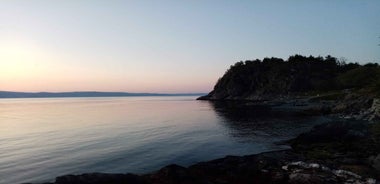 Discovery hike along the Trondheimsfjord