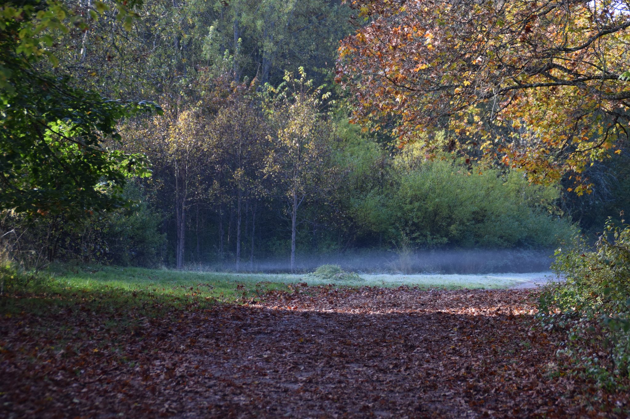 Judarskogen nature reserve travel guide