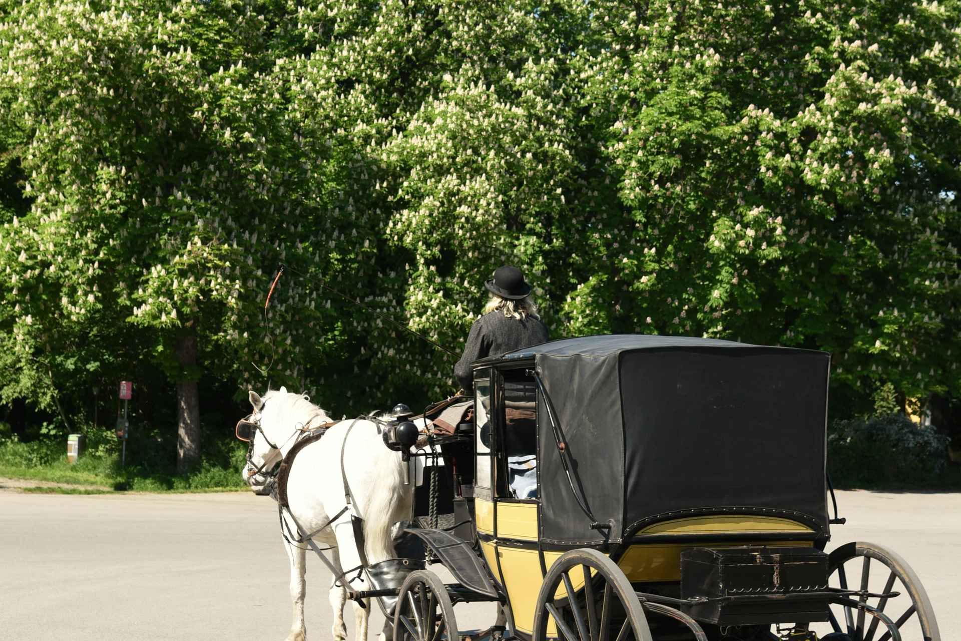 Vienna Porcelain Ride - A discreet Prater carriage ride for adults