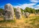 photo of The Carnac stones are an exceptionally dense collection of megalithic sites in Le Ménec, France.