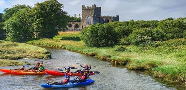 Wexford: Tintern Abbey Kayaking Experience