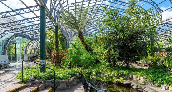 Photo of Inside of David Welch winter gardens near the main entrance in Duthie Park, Aberdeen, Scotland .