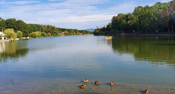 Ciric Lake summer view , Iasi , Romania.