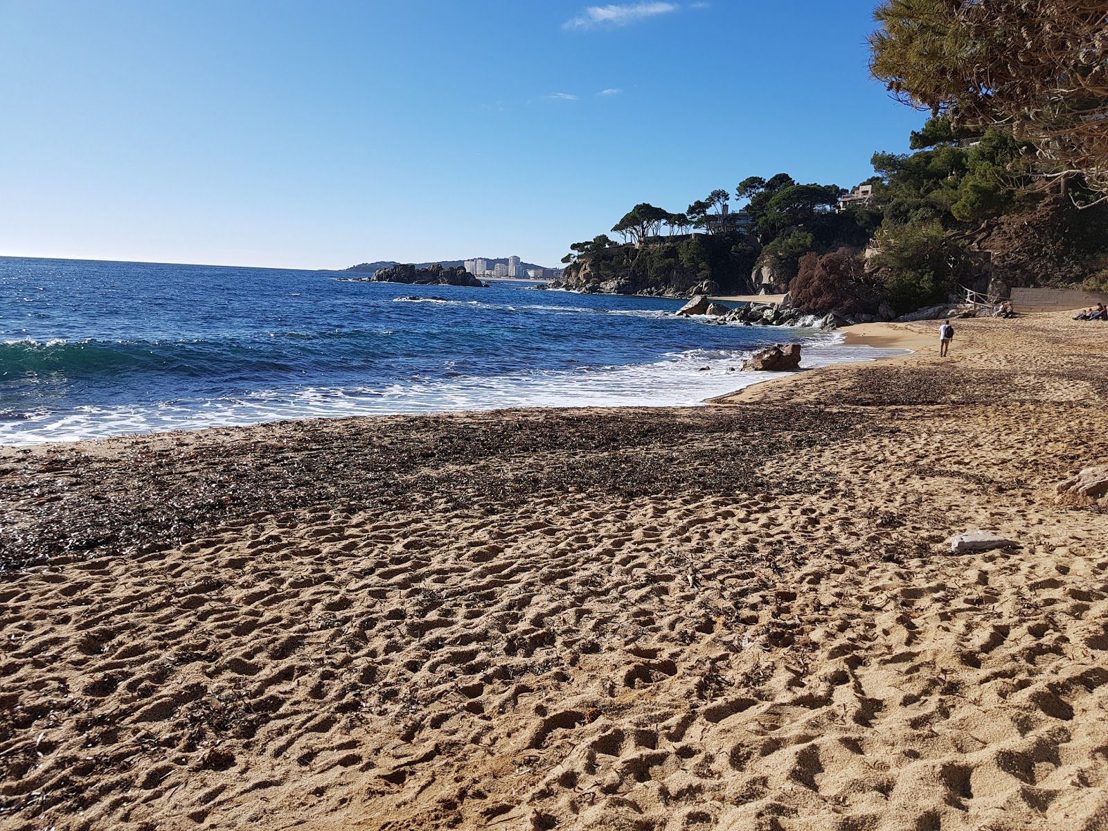 Cala Cap Roig, Calonge i Sant Antoni, Lower Empordà, Girona, Catalonia, Spain