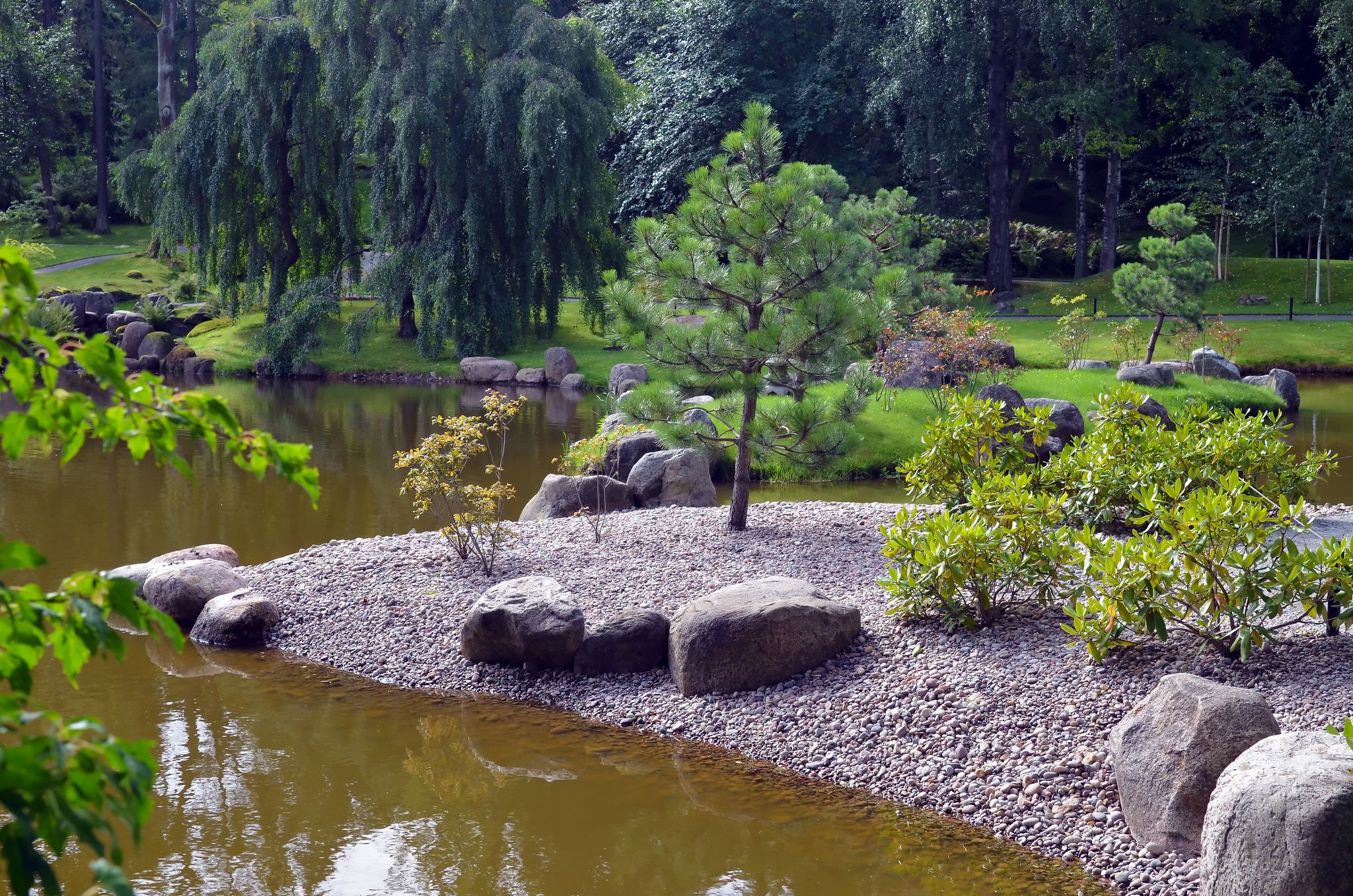 Photo of landscape with pond and trees in botanical garden of Tallinn.