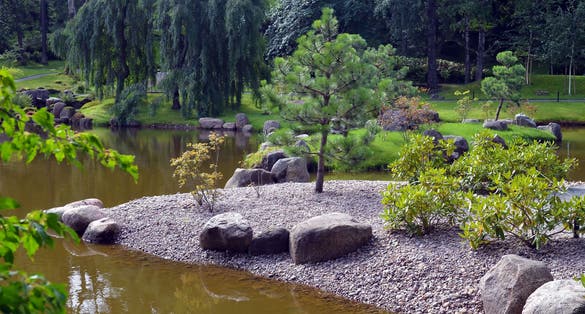 Photo of landscape with pond and trees in botanical garden of Tallinn.