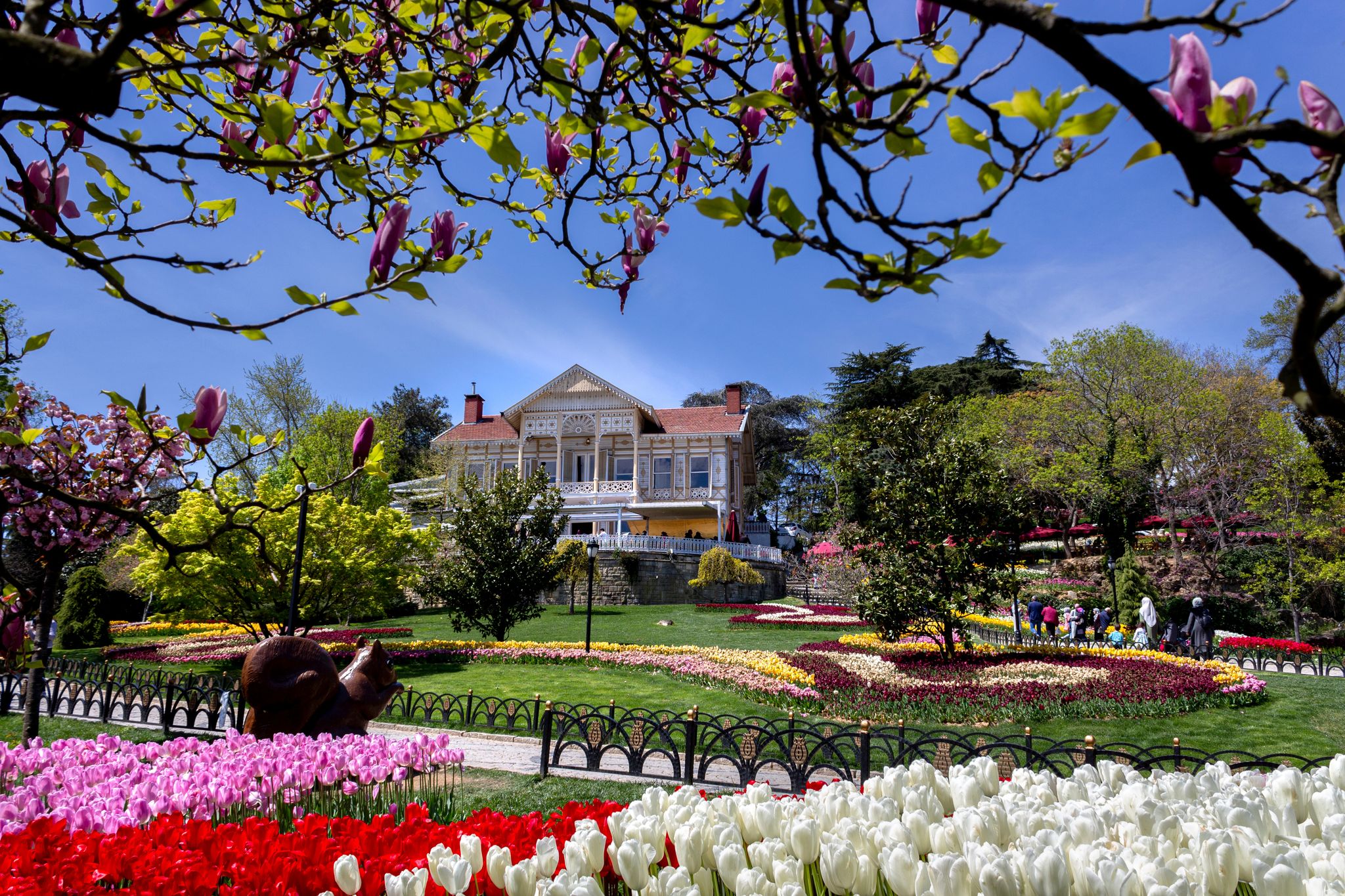 shutterstock_2127940280 (1).jpg