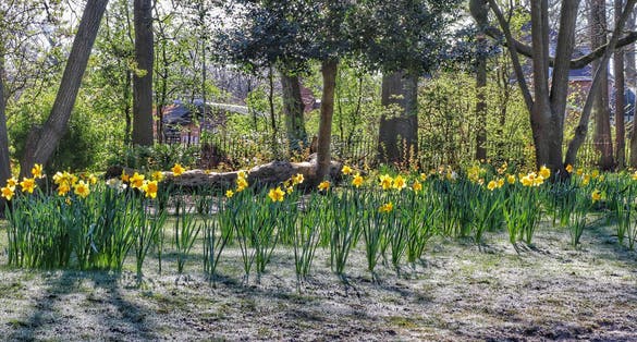 Photo of Morning View at Platt Field Park, Manchester, UK