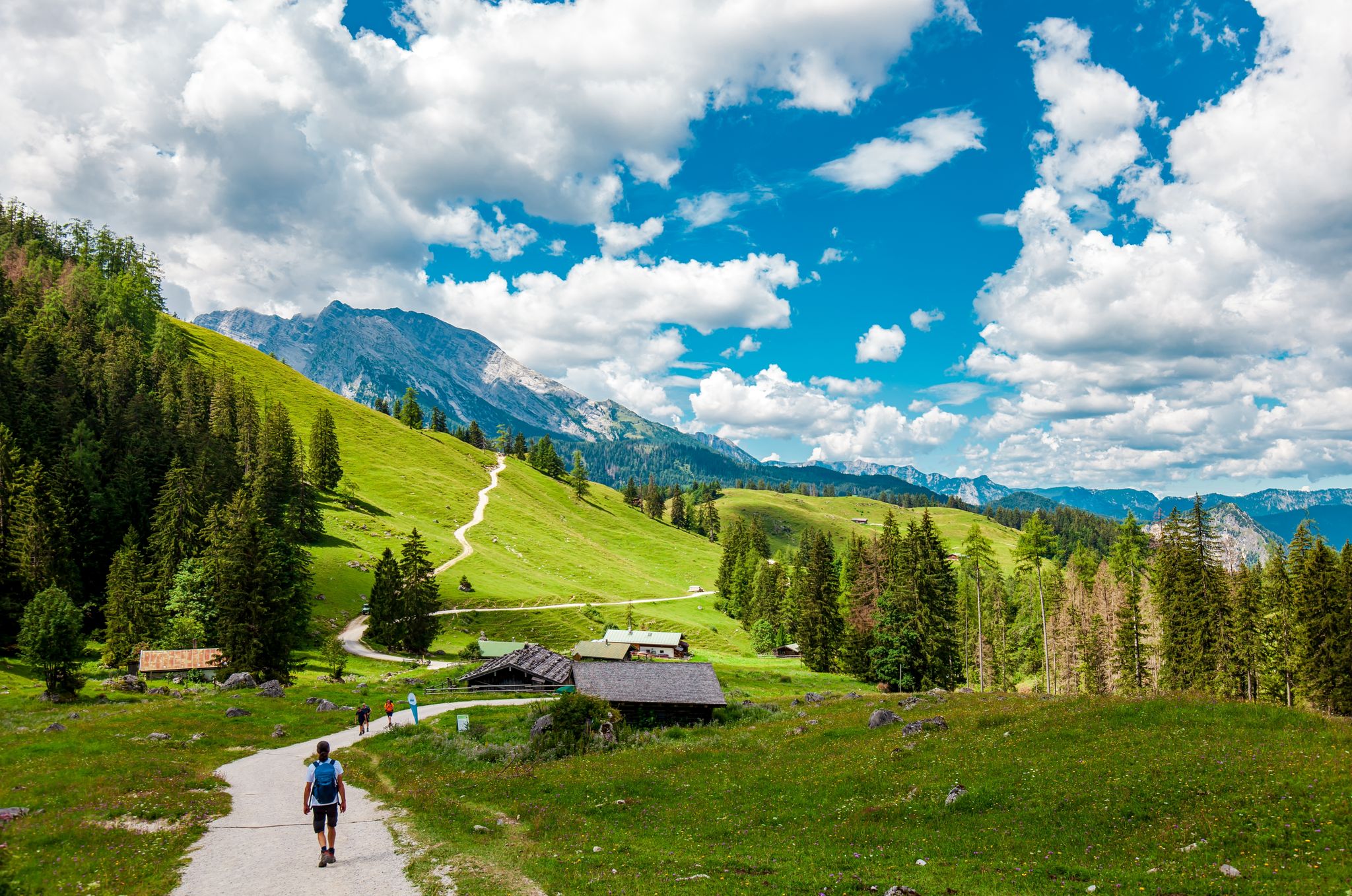 Photo of Landscape Scenery, Mountain Jenner, Route Mitterkaseralm. Hiking in the National park Berchtesgadener Land in Summer, Germany.