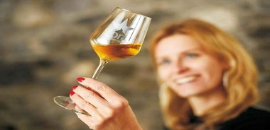 Sion: Sion Wine Tour - wine tasting and guided tour