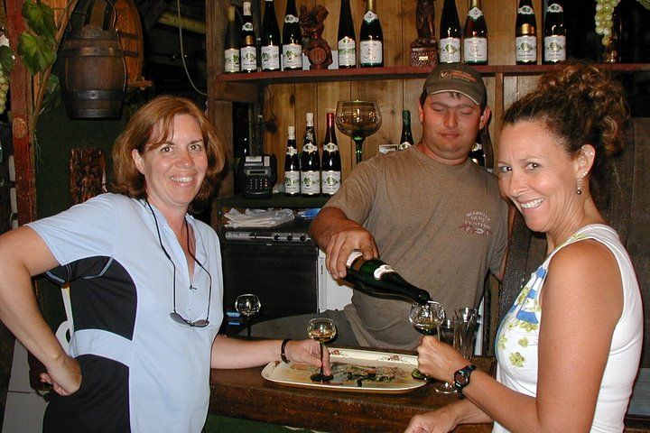 Through Alsace Vineyards and Wine Villages Private Bike Tour