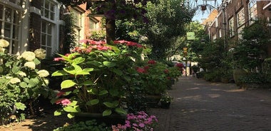 Haarlem Old Town Private Walking Tour 
