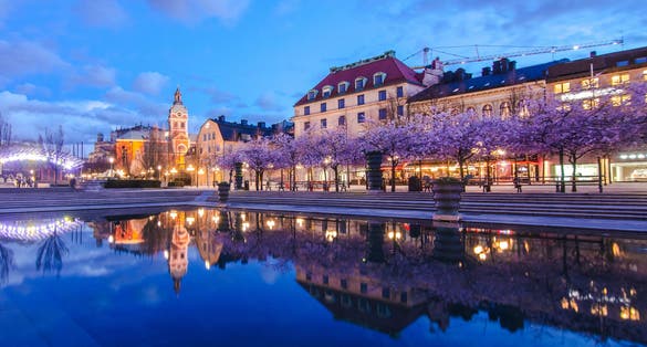Photo of the famous meeting place Kungstradgarden and blooming cherry trees reflected in the water in Stockholm city center at dusk with historical buildings.