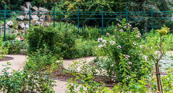 photo ofThe Iveagh Gardens designed in mid-19th century by Ninian Niven, Dublin, Ireland