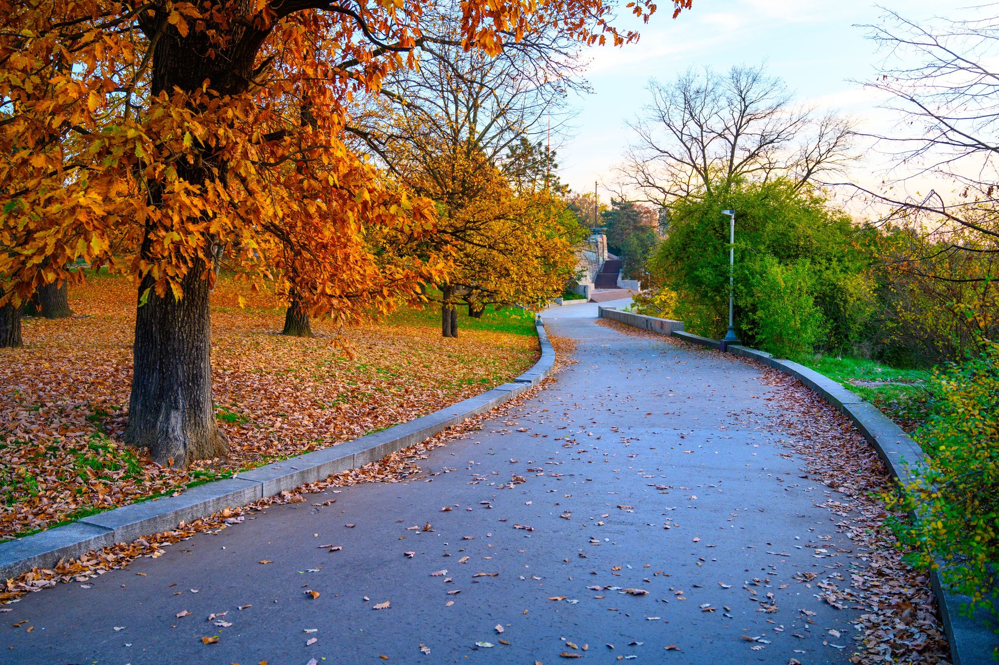 Photo of Autumn time in Letna parks with colorful trees, Prague, Czech Republic.