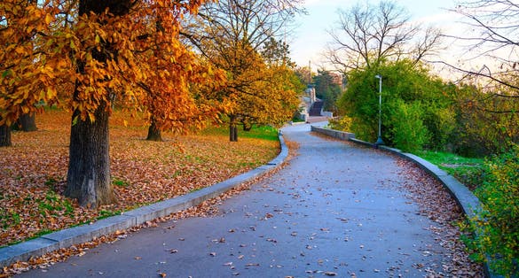 Photo of Autumn time in Letna parks with colorful trees, Prague, Czech Republic.