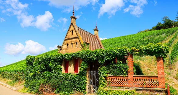 Photo of Beautiful Building in a Vineyard at the Wartberg, Heilbronn in Germany, Europe .