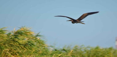 PREMIUM TOUR SMALL GROUP Bucharest-The Heart of Danube Delta