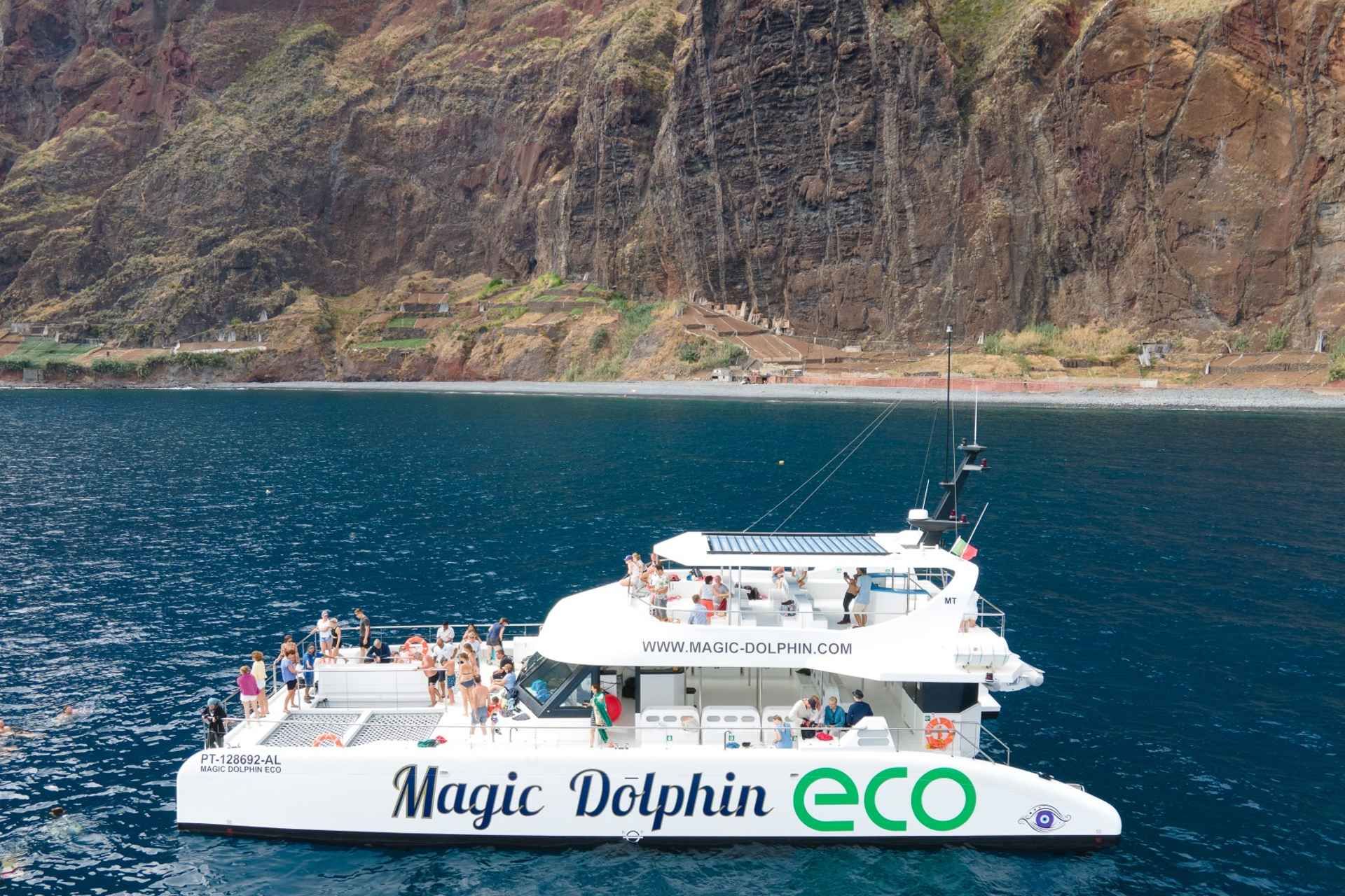 From Funchal: Ecological Catamaran Dolphin Whale Watching