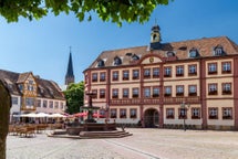 Neustadt An Der Weinstraße bike tours