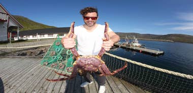 North Cape and King Crab Tour with Sámi Camp Tour