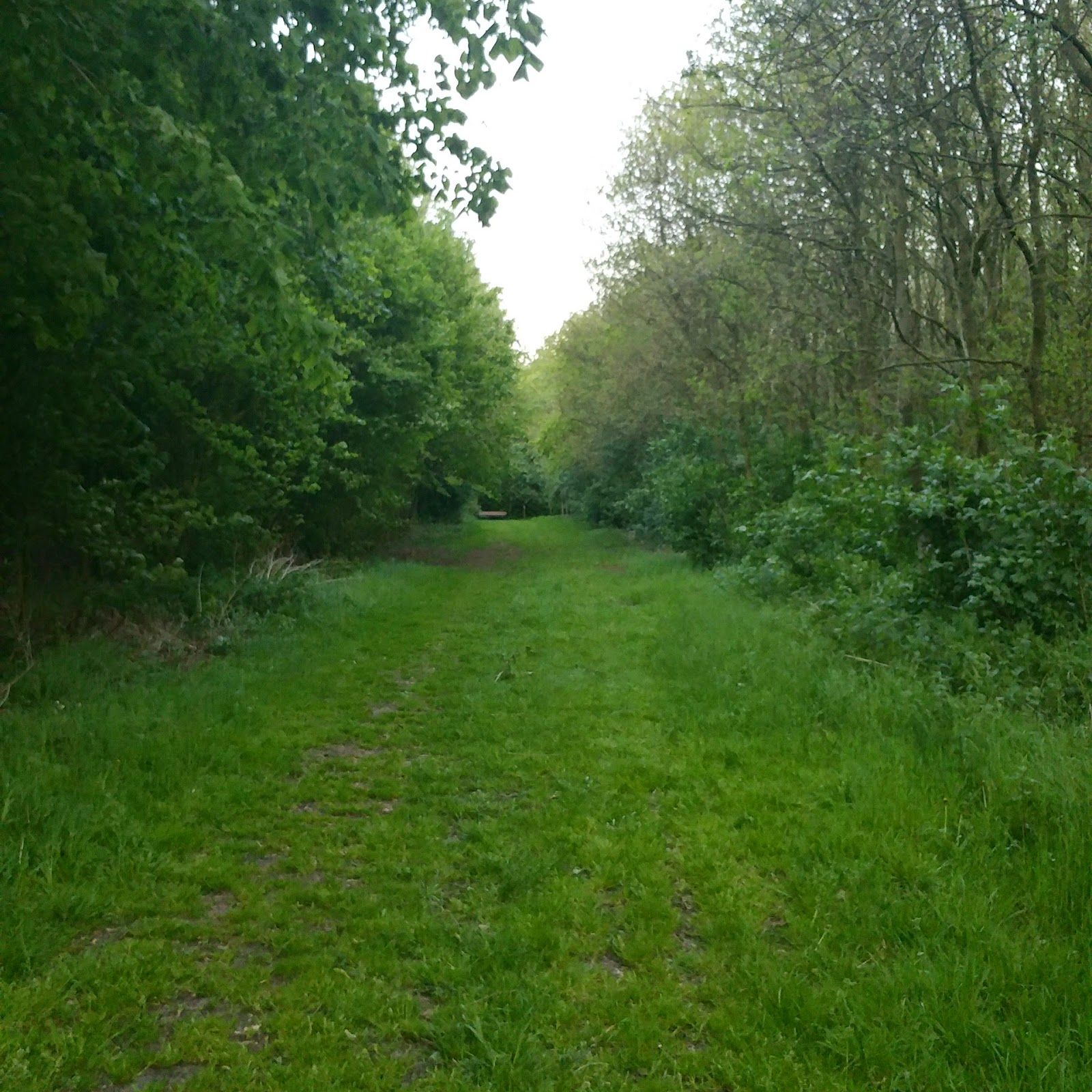 Provincial Domain Baliekouter, Wakken, Dentergem, Tielt, West Flanders, Flanders, Belgium