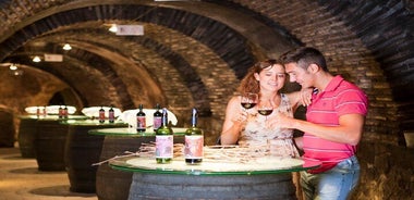 The Authentic Rioja Alavesa wine experiences 