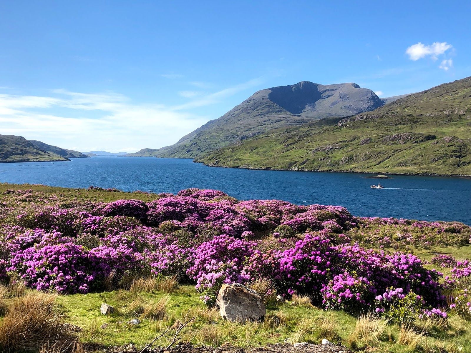 Killary Adventure Company, Derrynacleigh, Cushkillary ED, Conamara Municipal District, County Galway, Connacht, Ireland