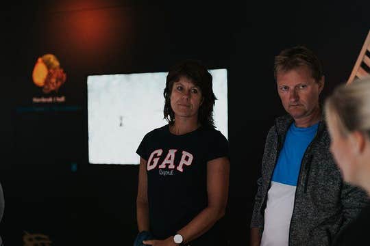 Ulvik scenic RIB adventure tour to Osafjord