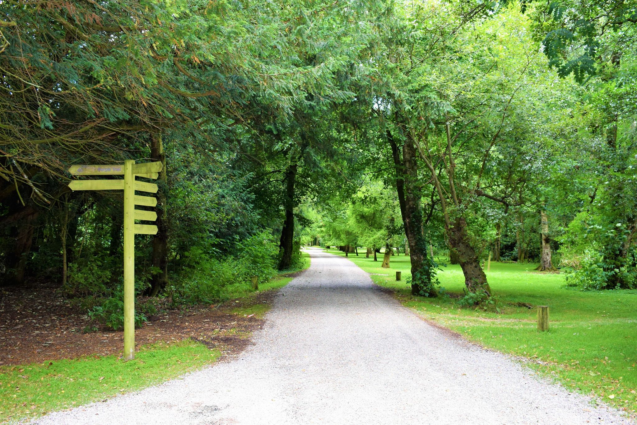 Photo of Fota Wildlife Park, County Cork, Ireland.