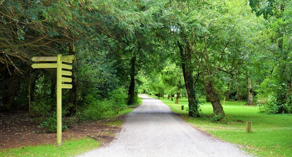 Photo of Fota Wildlife Park, County Cork, Ireland.