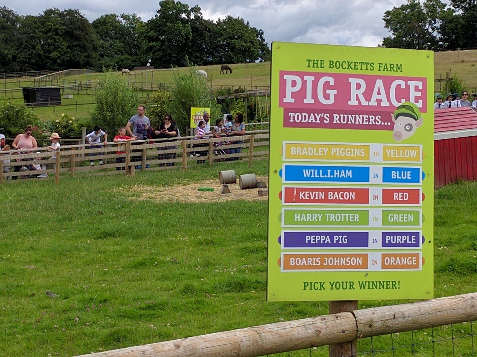 Bocketts Farm Park, Mole Valley, Surrey, South East England, England, United Kingdom