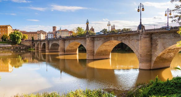 Photo of Puente de Piedra (Stone bridge) in Logrono, La Rioja region, Spain 