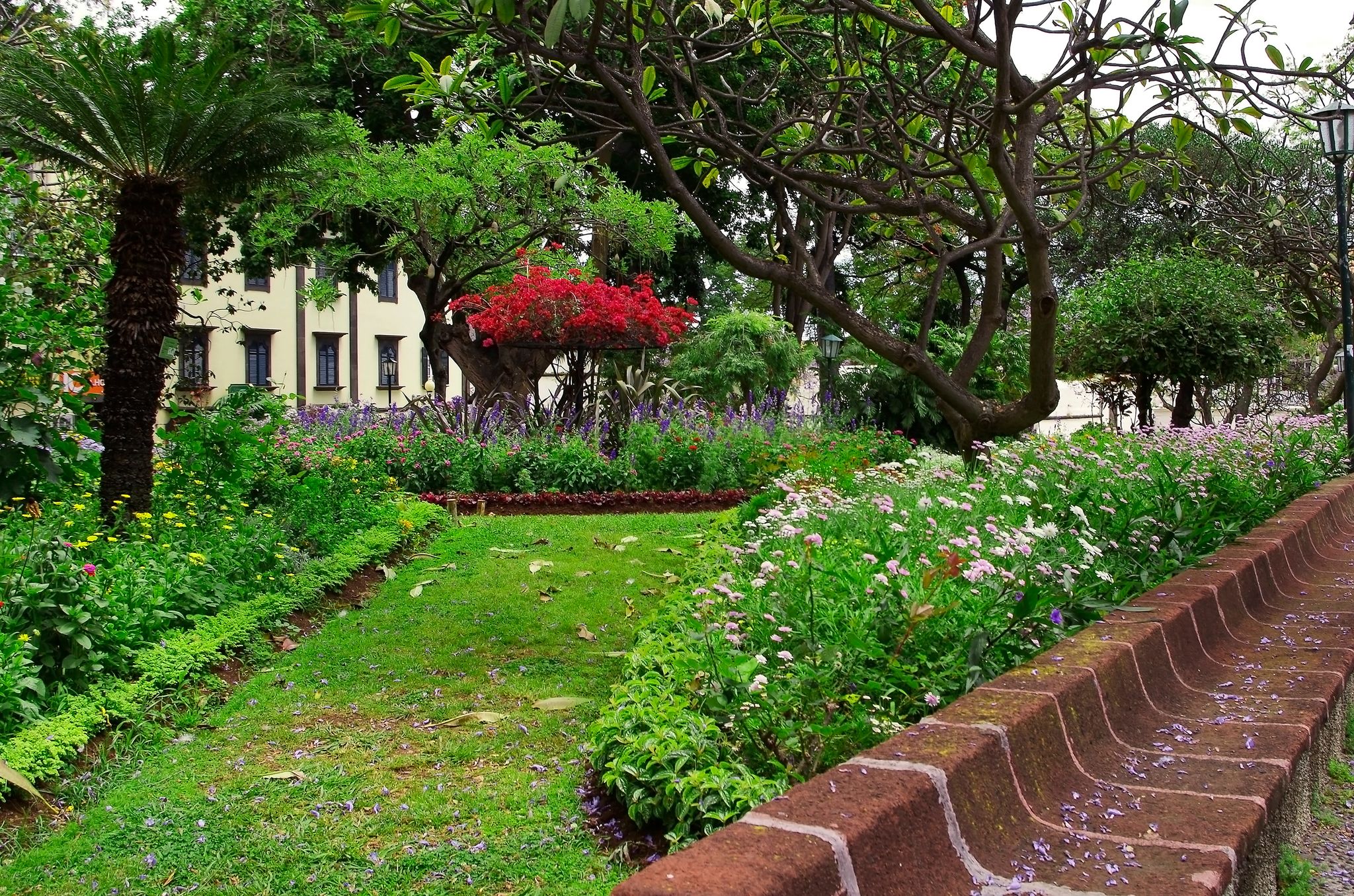 Municipal park in center of Madeira's capital is Funchal. Flowering plants and birds singing have tourists to sit on a stone bench for relaxing during the Flowers Festival in Madeira.