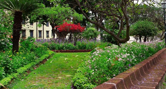 Municipal park in center of Madeira's capital is Funchal. Flowering plants and birds singing have tourists to sit on a stone bench for relaxing during the Flowers Festival in Madeira.