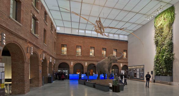 Entry hall of the Muséum de Toulouse