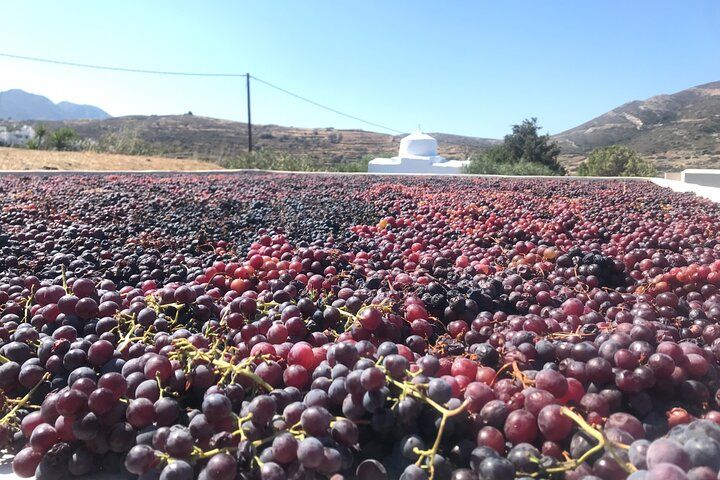 Wine Tasting and Tour in Saint Anna Winery in Naxos