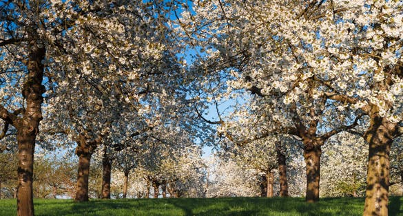 photo of view of Bad Vilbel, Germany.